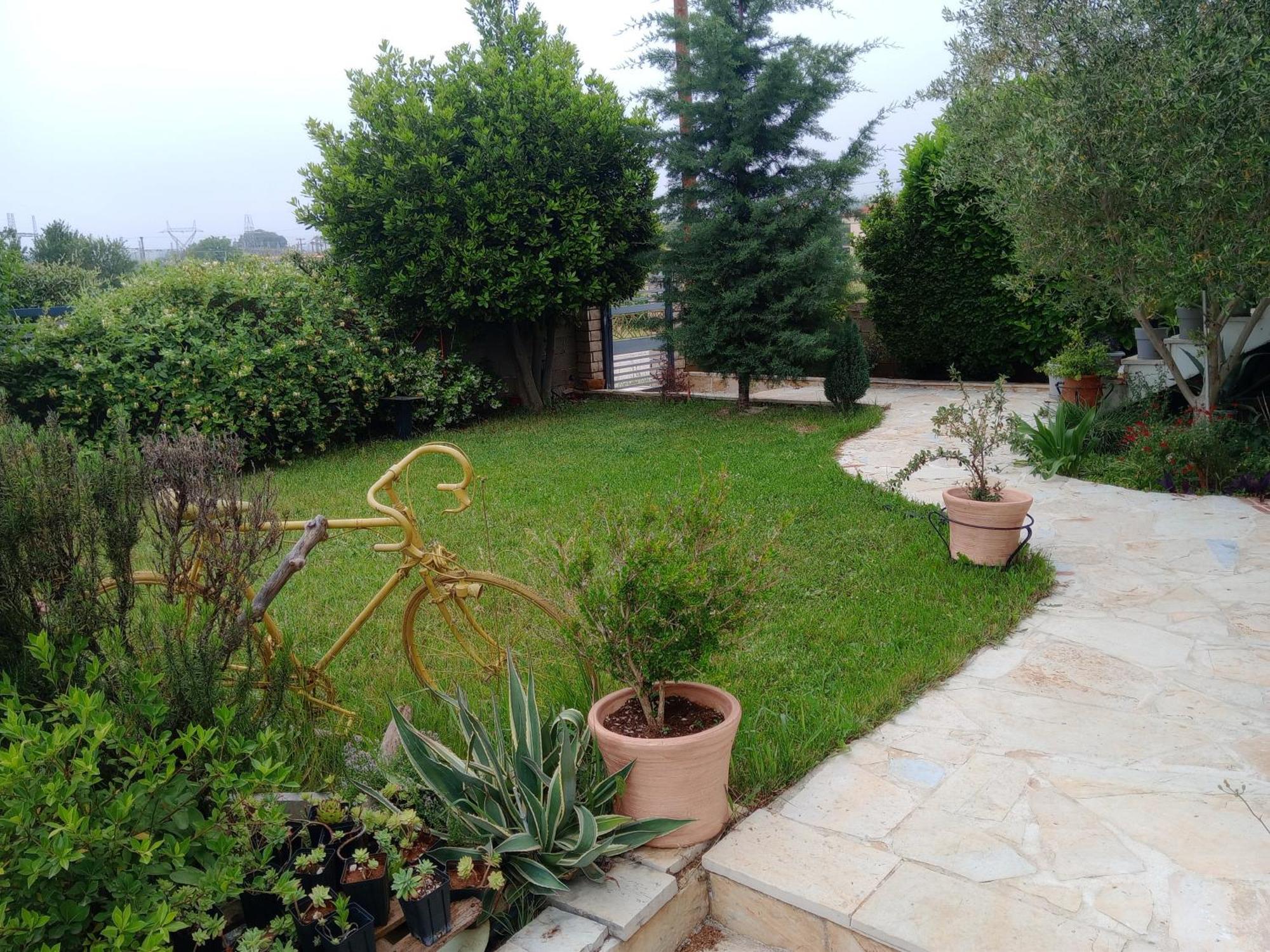 Katerina'S Guest House Ιωάννινα Εξωτερικό φωτογραφία